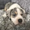 CleopatraStorm - @cleopatrastorm - TikTok