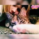 Cleo the Strange🐱 - @ctsamk - Instagram