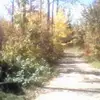 cleona sutton - @cleona.sutton - TikTok