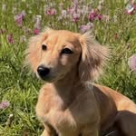 Leo Leclerc Saint Mleux - @leo_leclercc - Instagram