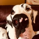 Cleo Sweeney - @desimone_sweeney - Instagram
