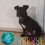 Cleo Thompson - @cleothompson2008 - Instagram