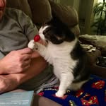 Cleocatra & Titus - @cleotitusshinanigans - Instagram
