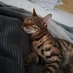Titus & Cleo - @titus.cleo - Instagram