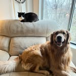 Cleo & Tucker - @cleoandtucker - Instagram