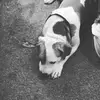 Tucker Mcleod - @tuckermcleod - TikTok