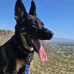 Cleo and Tyler - @adventureswithcelo - Instagram