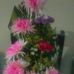 Cleo Vargas - Facebook