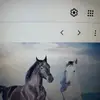 cleofasvargas - @cleofasvargas - TikTok