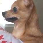 Vinchenzo - @vince_n_cleo - Instagram