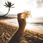 CLEO WALLER - @leontalley_973 - Instagram