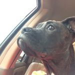 Cleo Wallsmith - @cleopatra_wallsmith - Instagram