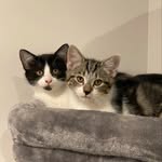 Cleo and Walter - @cleowalterandgloria - Instagram