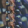 Cleo Walters - @itzz_cleo_walters - TikTok