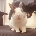 왕가히 - @cleowang_0218 - Instagram