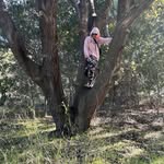 Nora Miller - @noramiller_cleopatra2 - Instagram