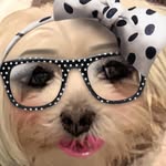 Roxy Cleopatra Miller - @theinfamousroxycleopatra - Instagram