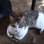 Cleta Torres - @cleta.torres.75 - Instagram