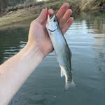 Clete Blakeman - @cleteblakeman69 - Instagram