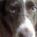 Clete Meaders - Facebook