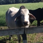 Clete Smith - @cletesmith - Instagram