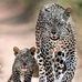 Willem Cloete - Facebook