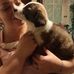 Curtis Thomas - Facebook