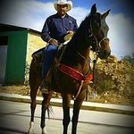 Miguel Angel Cleto Marquez - @miguelangelcletomarquez - Instagram