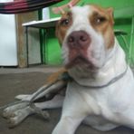 Cleto Méndez - Facebook