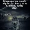 cletoortega8 - @cletoortega8 - TikTok