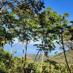 Ana cleto Ramírez - @anacleto6454 - Instagram