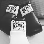 "LOS GUANTES DE LOS CAMPEONES" - @cletoreyesprofesional - Instagram