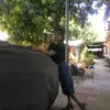 Dương Thị Yến - @benedictcletus - TikTok