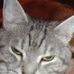 Cletus Boone - Facebook