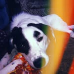 Cletus Maximus Brooks - @cletus_breedlove - Instagram