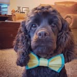 Charlie Cletus Brown - @charlie_cletus_brown - Instagram