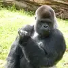 Cletus- brown - @cletus.brown7 - TikTok