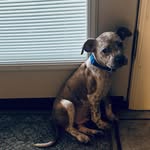 Cletus Leeroy Brown - @cletus_leeroy_brown - Instagram