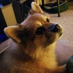 Cletus Deprey - @cletusdeprey1 - Instagram