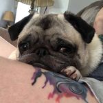 Cletus - @cletusdixon - Instagram