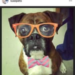 @cletusearloflogsdon - Instagram