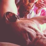 Cletus Gibbens - @cletusgibbens - Instagram