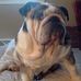 Cletus Hamilton - Facebook