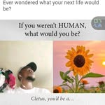 cletus Johnson's - @cletusjohnsons - Instagram