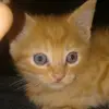 cletus_jones 0 - @cletus_jones0 - TikTok