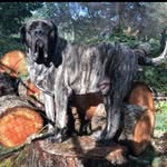 Cletus T Judd - @cletustjudd1969 - Instagram