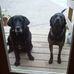 Dixie Sue Walker and R.I.P. Cletus Judd - Facebook