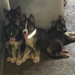 Cletus Lewis - Facebook