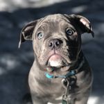 Lionel Cletus - @lionel_cletus2018 - Instagram