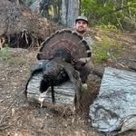 Bradley Palmer - @cletus_palmer - Instagram